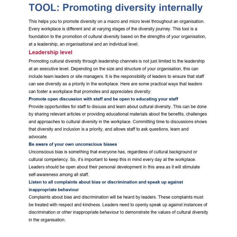 Promoting diversity internally